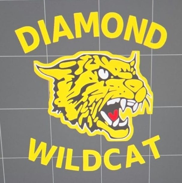 Diamond Wildcats logo detail for 3D-printed add-on